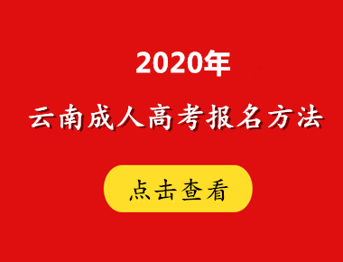 2020年云南方法