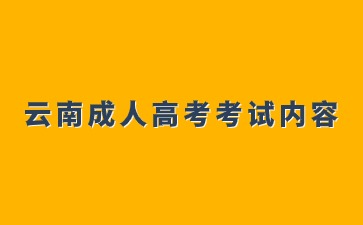 2024年云南成人高考高起点考试内容