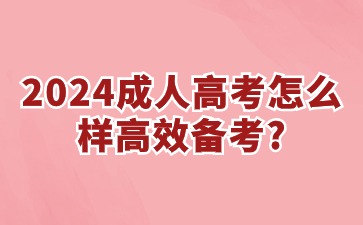 2024成人高考怎么样高效备考?