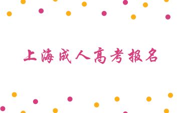 2024年上海成人高考报名需要什么材料