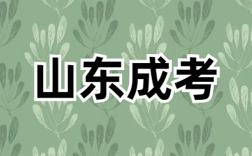 25年山东成人高考报名费